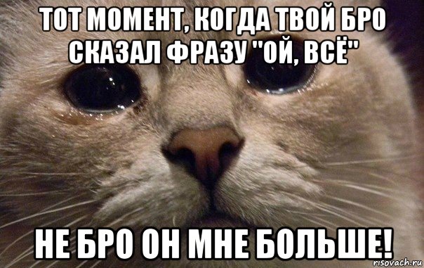 тот момент, когда твой бро сказал фразу "ой, всё" не бро он мне больше!, Мем   В мире грустит один котик