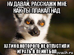 ну давай, расскажи мне как ты плакал над хатико,которого не отпустили играть в пейнтбол, Мем Я збагоен