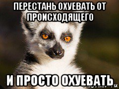 перестань охуевать от происходящего и просто охуевать, Мем Я збагоен