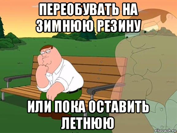 переобувать на зимнюю резину или пока оставить летнюю, Мем Задумчивый Гриффин