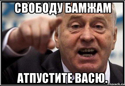 свободу бамжам атпустите васю., Мем жириновский ты