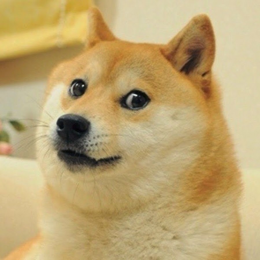 This is doge steam фото 77