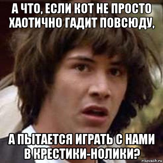 а что, если кот не просто хаотично гадит повсюду, а пытается играть с нами в крестики-нолики?, Мем А что если (Киану Ривз)