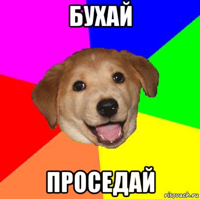 бухай проседай, Мем Advice Dog