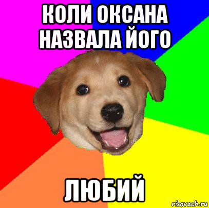 коли оксана назвала його любий, Мем Advice Dog