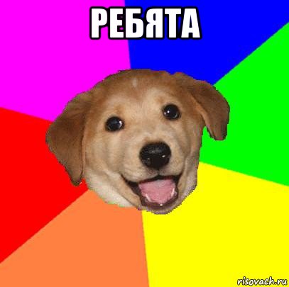 ребята , Мем Advice Dog