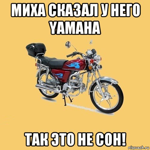 миха сказал у него yamaha так это не сон!, Мем альфа