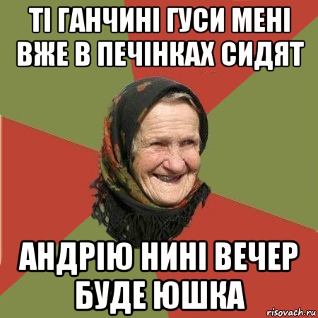 ті ганчині гуси мені вже в печінках сидят андрію нині вечер буде юшка, Мем  Бабушка