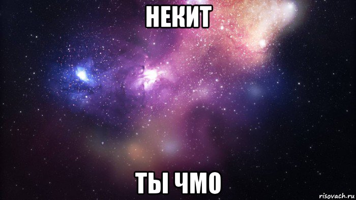 некит ты чмо, Мем  быть Лерой