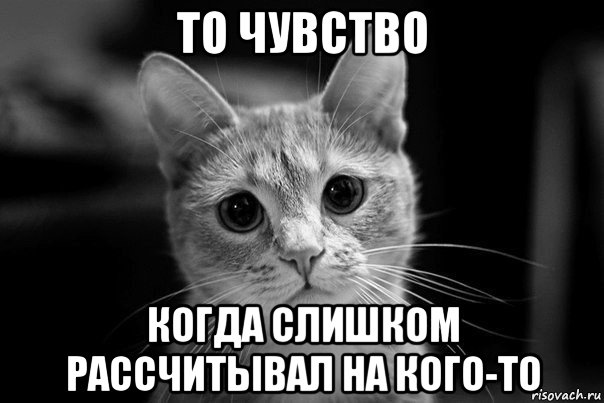 Не рассчитал. На меня не рассчитывай. Я рассчитываю на тебя. Не рассчитывай ни на кого. Когда не на кого положиться.