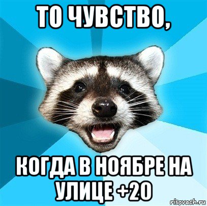 то чувство, когда в ноябре на улице +20, Мем Енот-Каламбурист