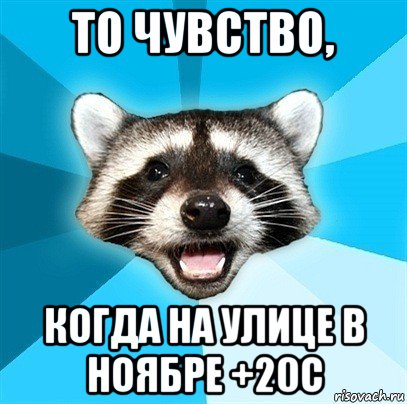 то чувство, когда на улице в ноябре +20c, Мем Енот-Каламбурист