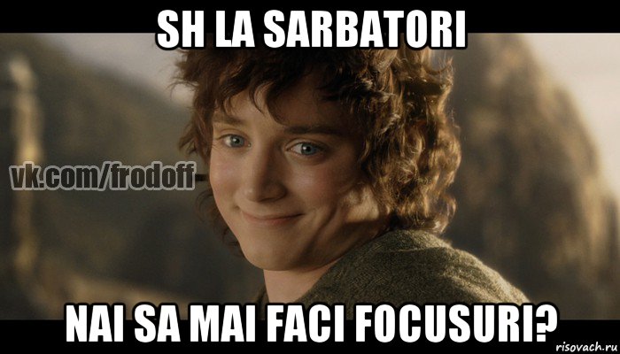 sh la sarbatori nai sa mai faci focusuri?, Мем  Фродо