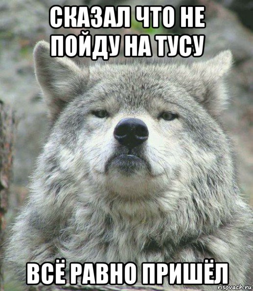 сказал что не пойду на тусу всё равно пришёл, Мем    Гордый волк