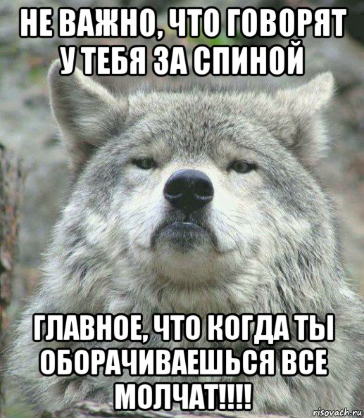 не важно, что говорят у тебя за спиной  главное, что когда ты оборачиваешься все молчат!!!!, Мем    Гордый волк