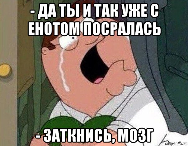 - да ты и так уже с енотом посралась - заткнись, мозг, Мем Гриффин плачет