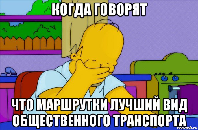 когда говорят что маршрутки лучший вид общественного транспорта, Мем Homer simpson facepalm