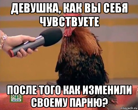 девушка, как вы себя чувствуете после того как изменили своему парню?, Мем Интервью с петухом