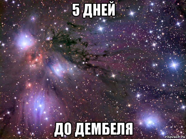 5 дней до дембеля, Мем Космос