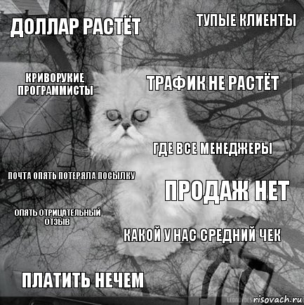 доллар растёт продаж нет трафик не растёт платить нечем почта опять потеряла посылку тупые клиенты какой у нас средний чек криворукие программисты опять отрицательный отзыв где все менеджеры, Комикс  кот безысходность