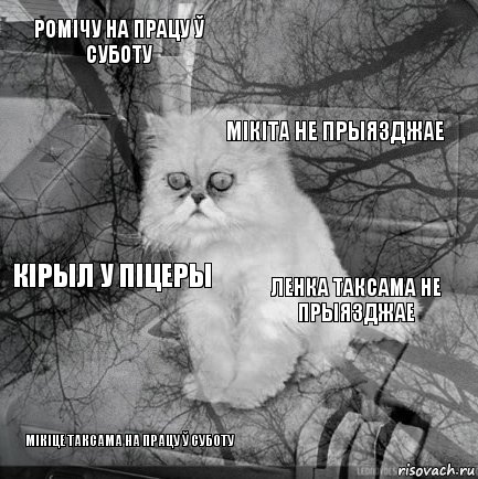 Ромічу на працу ў суботу Ленка таксама не прыязджае Мікіта не прыязджае Мікіце таксама на працу ў суботу Кірыл у Піцеры     , Комикс  кот безысходность