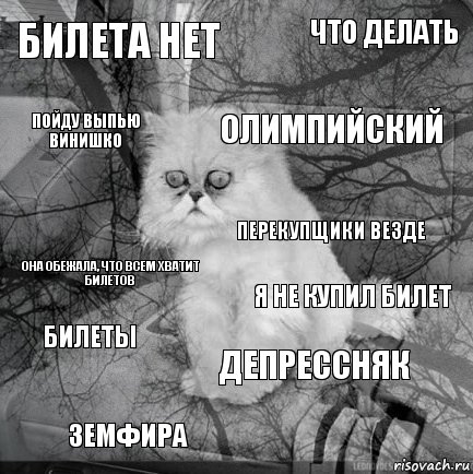 Билета нет Я не купил билет Олимпийский Земфира Она обежала, что всем хватит билетов Что делать Депрессняк Пойду выпью винишко Билеты Перекупщики везде, Комикс  кот безысходность