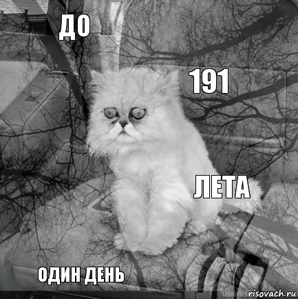 До лета 191 один день      , Комикс  кот безысходность