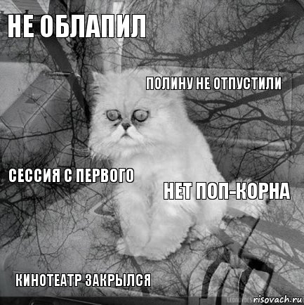 Не облапил Нет поп-корна Полину не отпустили Кинотеатр закрылся Сессия с первого     , Комикс  кот безысходность