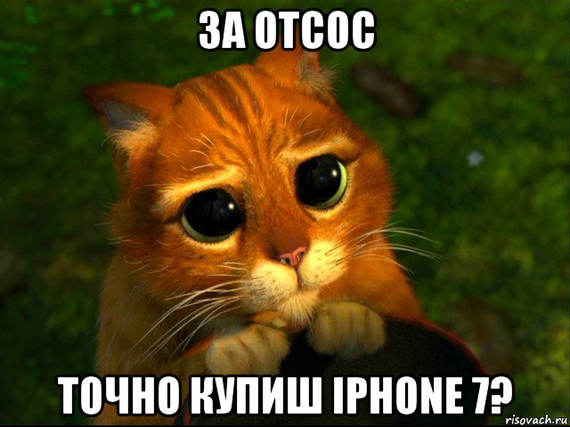 за отсос точно купиш iphone 7?, Мем кот из шрека