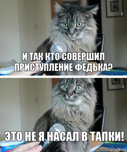 И так кто совершил приступление федька? ЭТо не я насал в тапки!, Комикс  кот с микрофоном