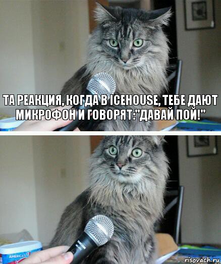 Та реакция, когда в ICEHOUSE, тебе дают микрофон и говорят:"Давай пой!" , Комикс  кот с микрофоном