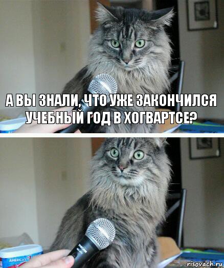 А вы знали, что уже закончился учебный год в Хогвартсе? , Комикс  кот с микрофоном