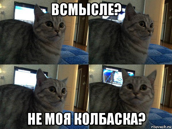 всмысле? не моя колбаска?, Мем  Кот в шоке