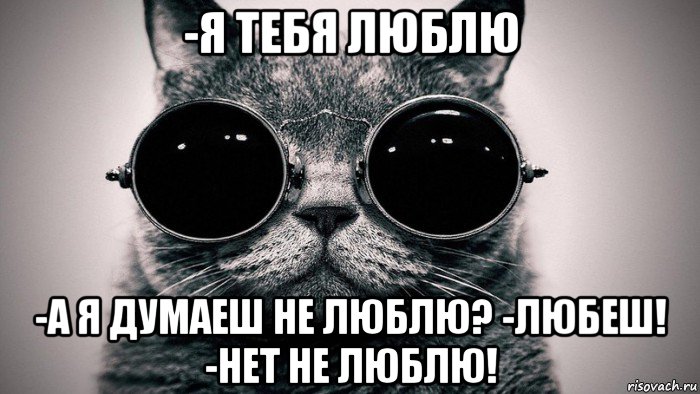 -я тебя люблю -а я думаеш не люблю? -любеш! -нет не люблю!, Мем Котоматрица