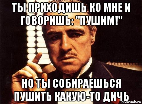 ты приходишь ко мне и говоришь: "пушим!" но ты собираешься пушить какую-то дичь, Мем крестный отец