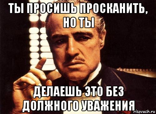 ты просишь просканить, но ты делаешь это без должного уважения, Мем крестный отец