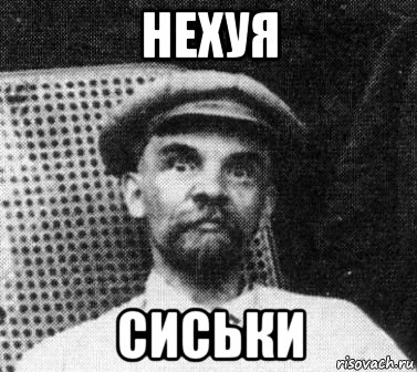 нехуя сиськи, Мем   Ленин удивлен