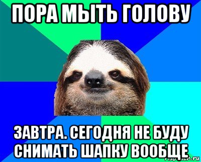 пора мыть голову завтра. сегодня не буду снимать шапку вообще, Мем Ленивец