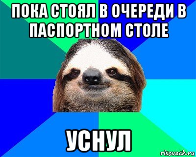 пока стоял в очереди в паспортном столе уснул, Мем Ленивец