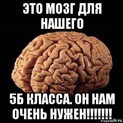 Слушать песню мозги мозг. Мозг Мем. Мемы про мозг. Мозги Мем. Мой мозг Мем.