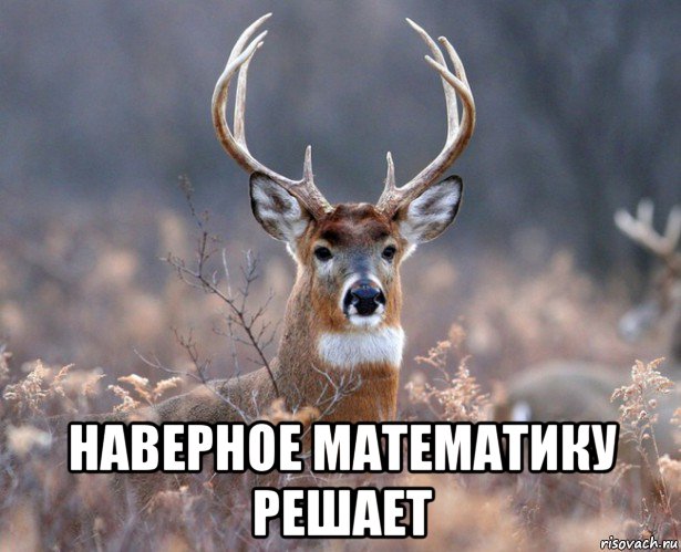  наверное математику решает