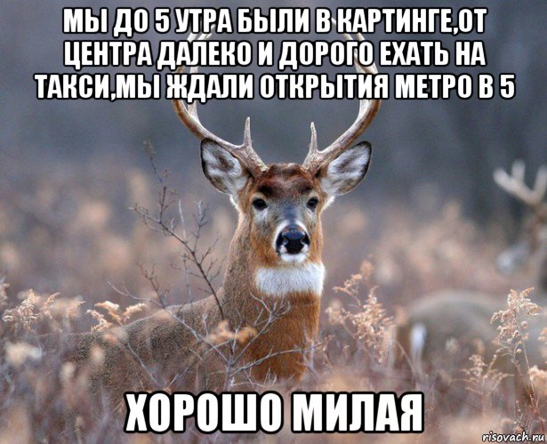 мы до 5 утра были в картинге,от центра далеко и дорого ехать на такси,мы ждали открытия метро в 5 хорошо милая