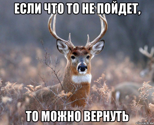 если что то не пойдет, то можно вернуть