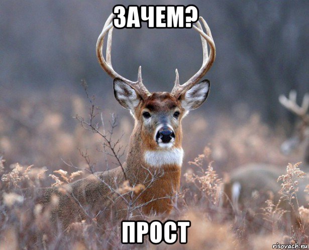 зачем? прост