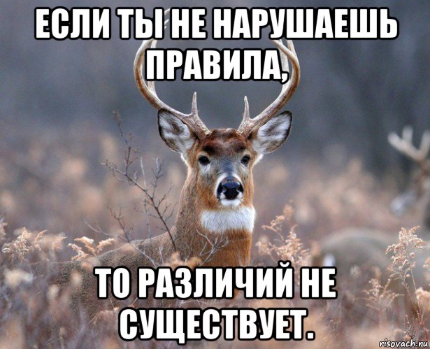 если ты не нарушаешь правила, то различий не существует.