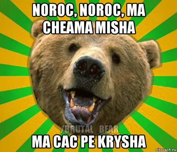 noroc, noroc, ma cheama misha ma cac pe krysha