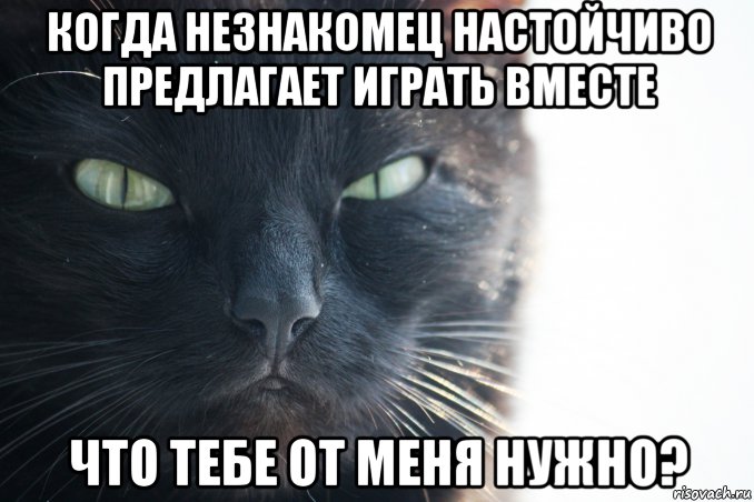 Поиграем предложи. Незнакомец Мем. Настойчивый Мем. Мем я настойчивый. Предлагай Мем.