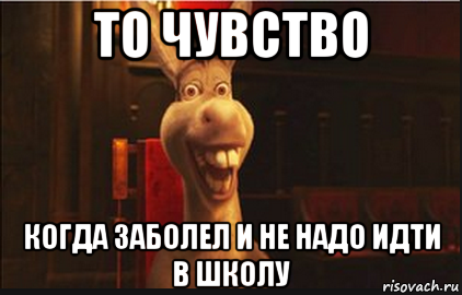 то чувство когда заболел и не надо идти в школу, Мем Осел из Шрека