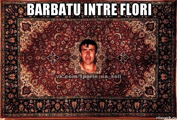 barbatu intre flori , Мем Парнь на сел