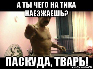 а ты чего на тика наезжаешь? паскуда, тварь!, Мем Паскуда тварь